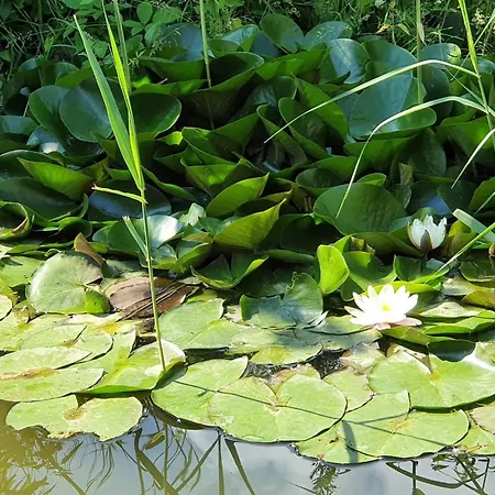 6 Person In Vaeggerlose-by Traum *